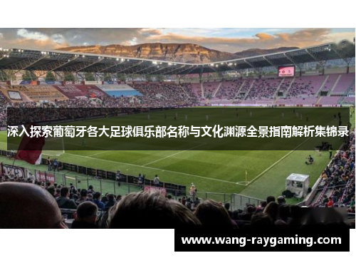 深入探索葡萄牙各大足球俱乐部名称与文化渊源全景指南解析集锦录